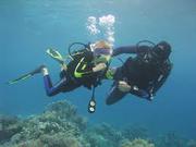 Scuba Diving Packages in Goa