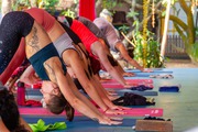 Yoga teacher training in Goa India