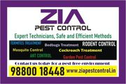 Zia Pest control | School | Kinder Garten | Residence and Office  5074