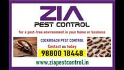 ZiaPest Control | Up to 30% Off | Cockroach Treatment  Paying Guest | 