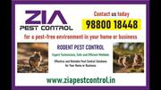 Rodent Control Bangalore | Restaurent | School | Paying guest | 8036